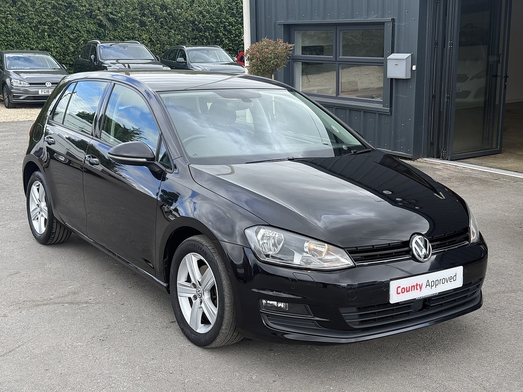 Volkswagen Golf Tdi Bluemotion Tech Se Silver #15