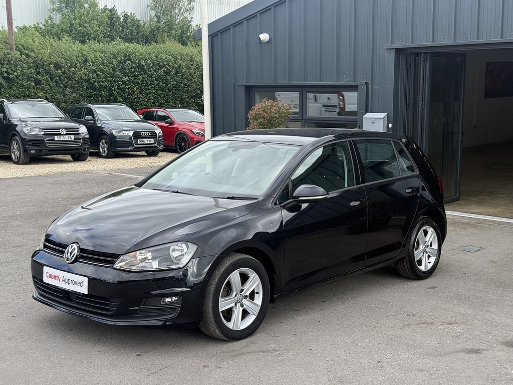 Volkswagen Golf Tdi Bluemotion Tech Se Silver #13