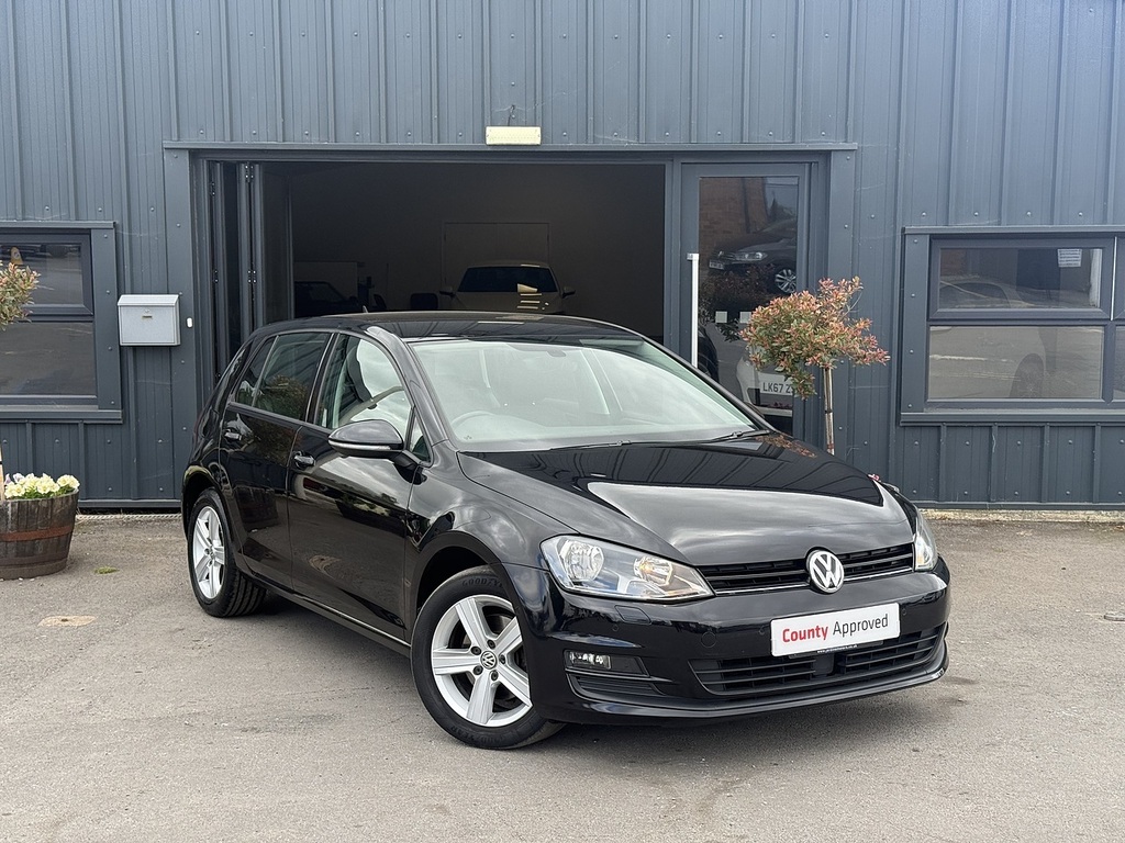 Volkswagen Golf Tdi Bluemotion Tech Se Silver #1
