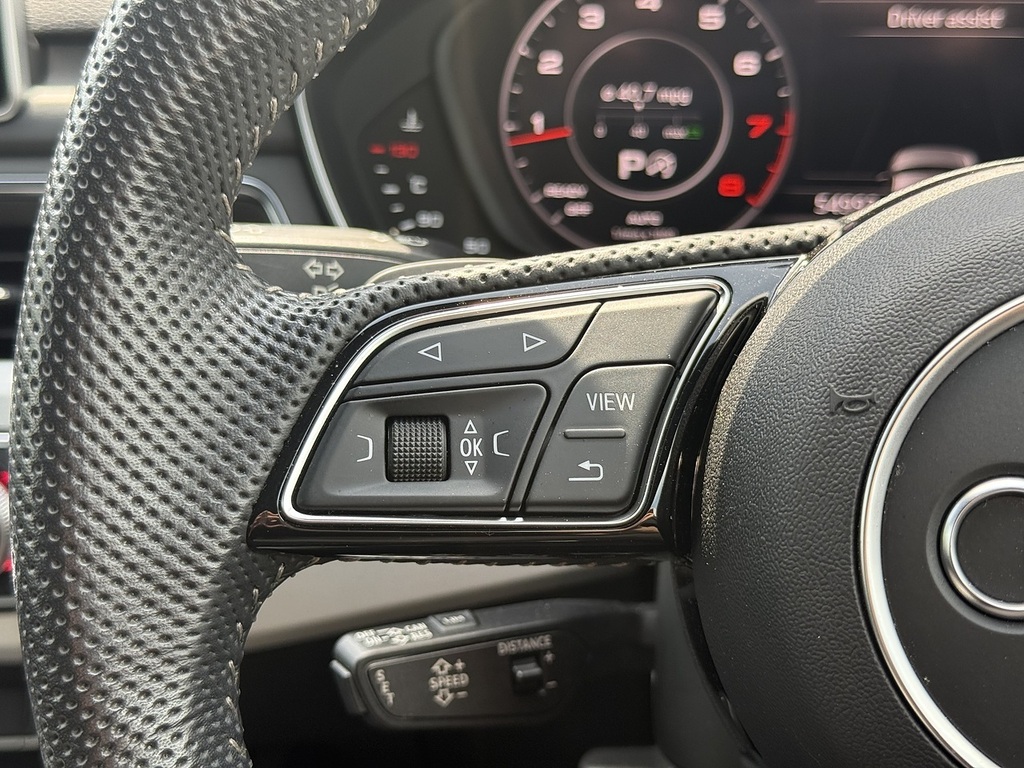 Audi A4 2.9 L Rs 4 Vorsprung Tfsi Quattro 4Wd  #37