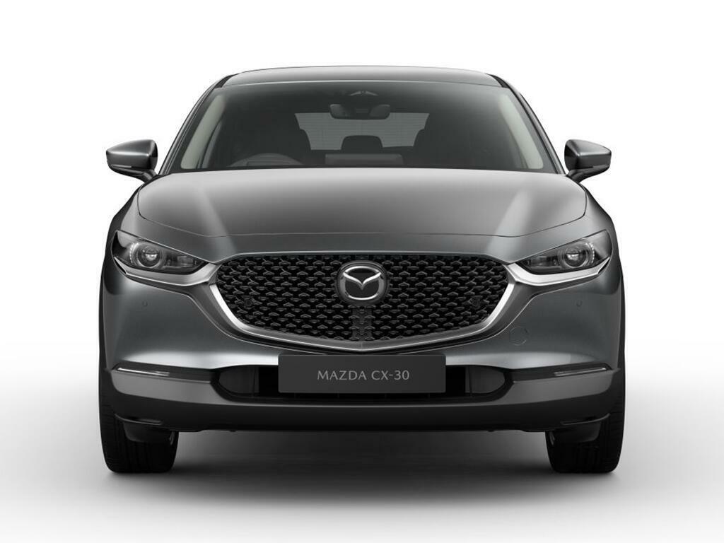 Mazda CX-30 2.5 140Ps 2Wd Exclusive-line Dark Grey Cloth Grey #5