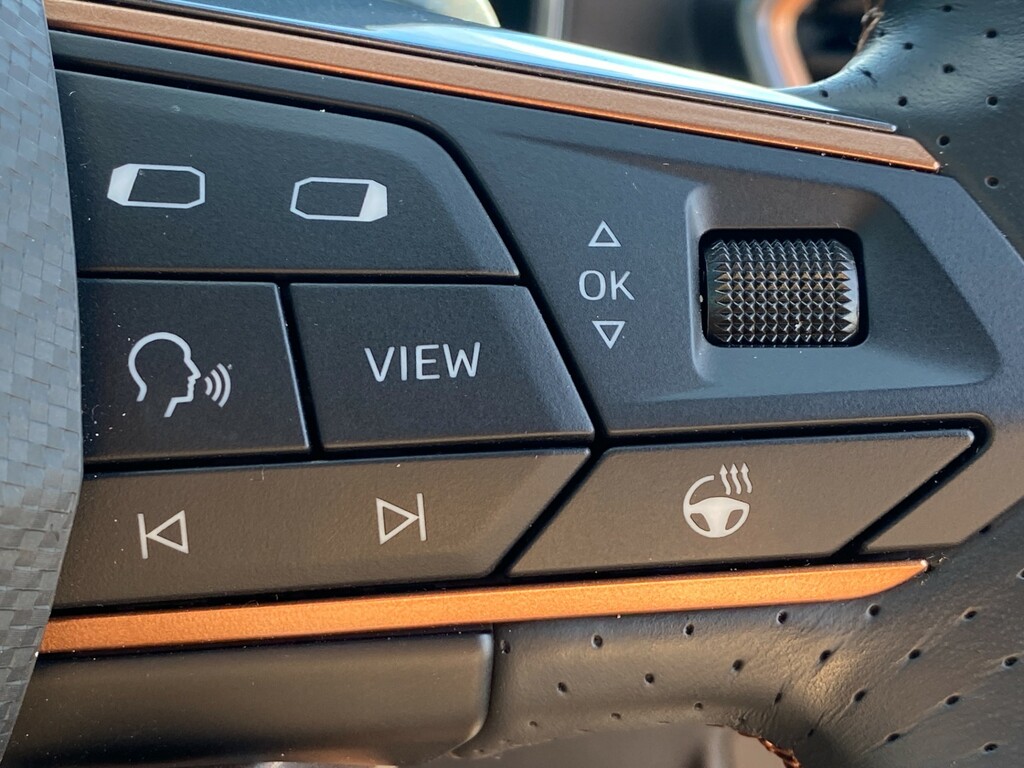 Cupra Formentor 1.5 Ehybrid 272 Vz First Edition Dsg Grey #31