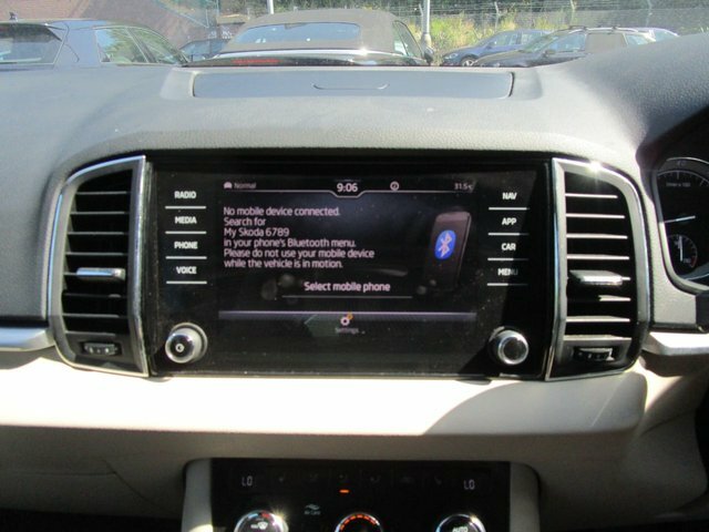 Skoda Karoq Se Technology Grey #29