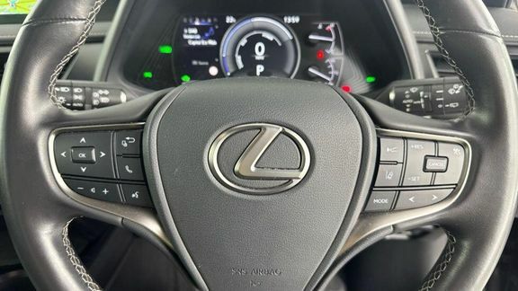Lexus UX 300E Red #11