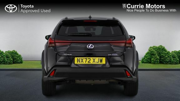 Lexus UX 300E 54.3Kwh Suv 204 Ps Black #22