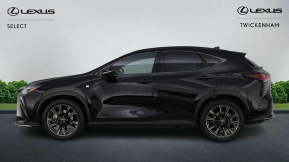 Lexus NX 350H 2.5 E-cvt White #31