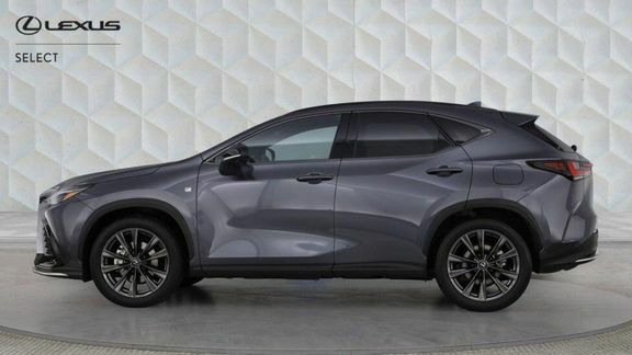 Lexus NX Nx 350H Awd F Sport Pan Grey #3