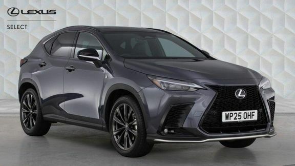Lexus NX Nx 350H Awd F Sport Pan Grey #6