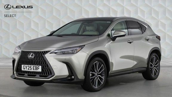 Lexus NX Nx450h Takumi Silver #4
