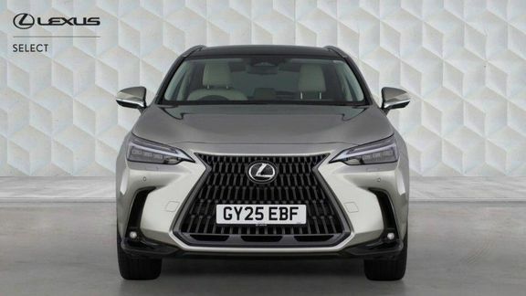 Lexus NX Nx450h Takumi Silver #5