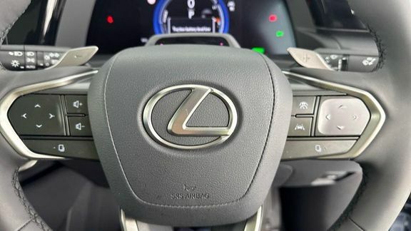 Lexus RZ 300E 71.4Kwh Takumi Grey #14