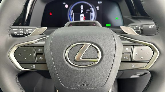 Lexus RZ 300E 71.4Kwh Takumi Grey #38