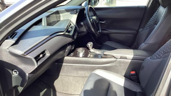 Lexus UX Premium Sport Edition Grey #6