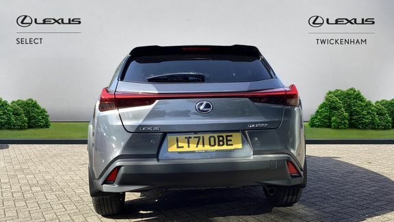 Lexus UX Premium Sport Edition Grey #5