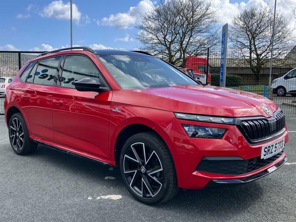 Skoda Kamiq Se Grey #8