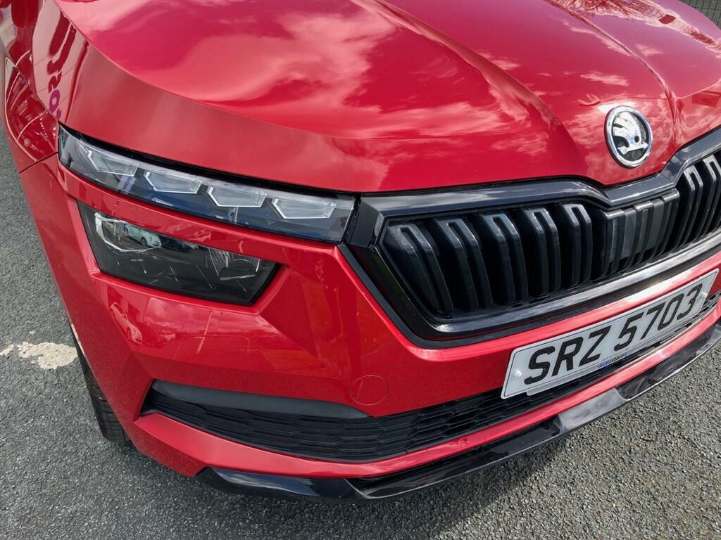 Skoda Kamiq Se Grey #10