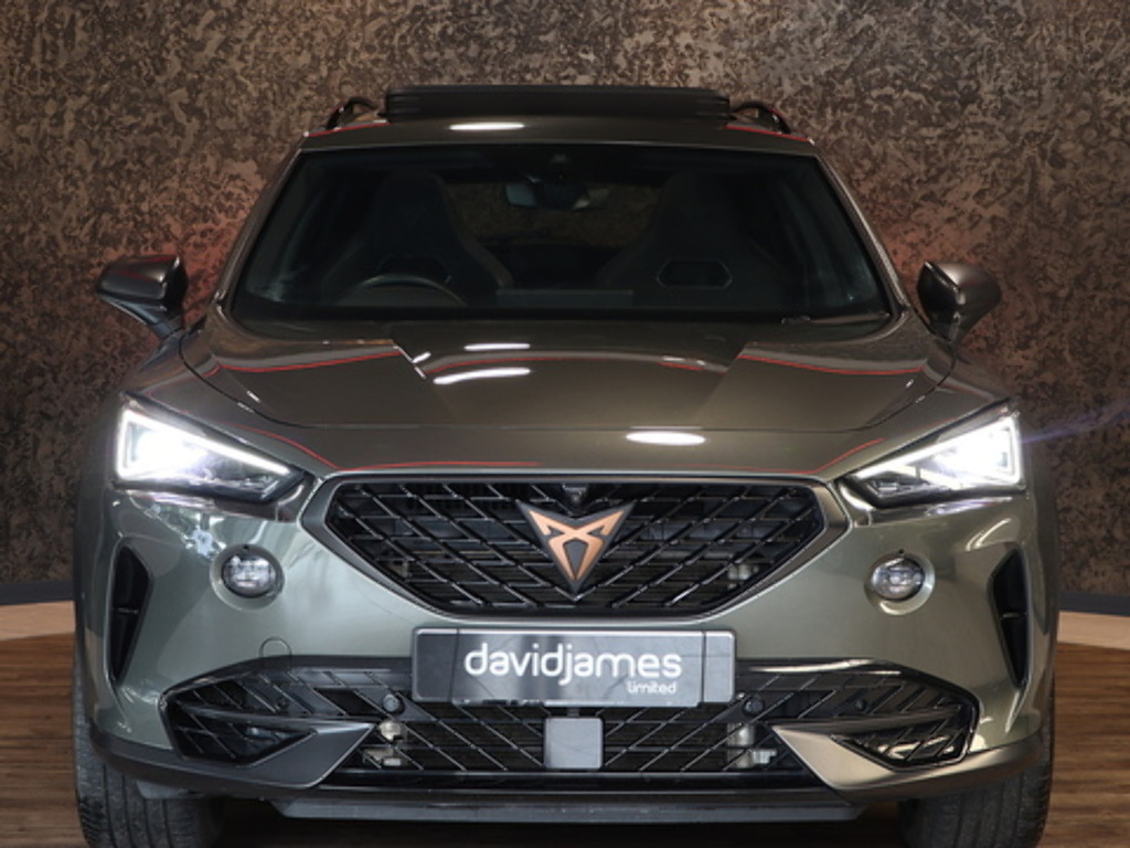 Cupra Formentor Tsi Vzn Green