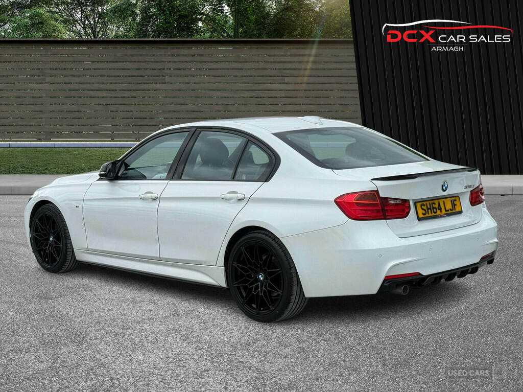 BMW 3 Series 2.0 318D Luxury Euro 5 Ss Brown #6