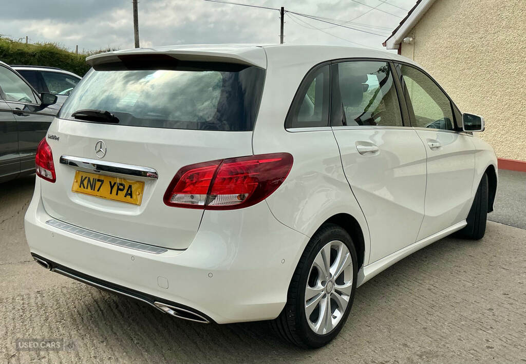 Mercedes-Benz B Class B200d Sport Executive White #6