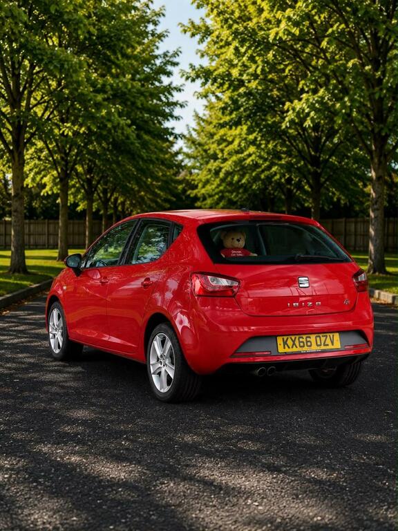 Seat Ibiza Hatchback 1.2 Tsi Fr Euro 6 201666 KX66OZV Red #3