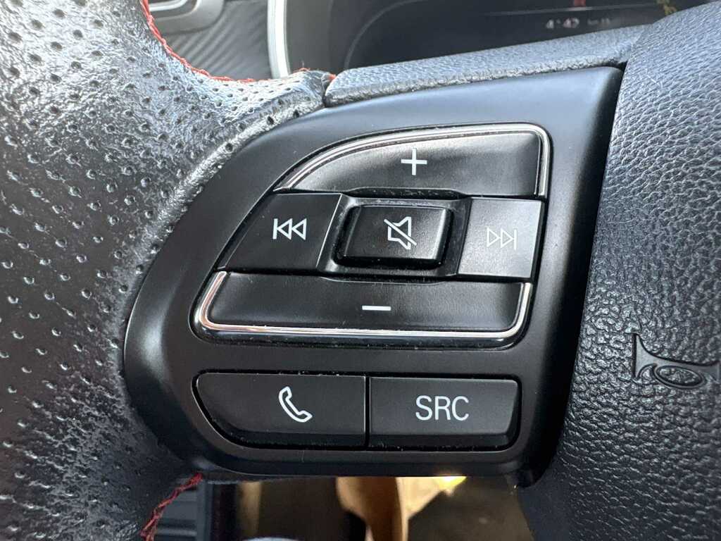 MG ZS   #18