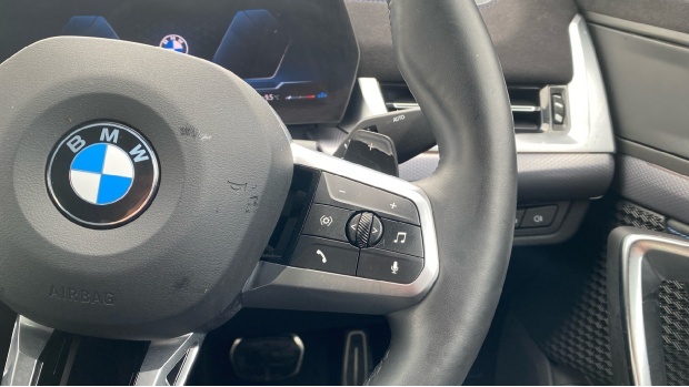 BMW X2 X2 Sdrive20i M Sport Black #18