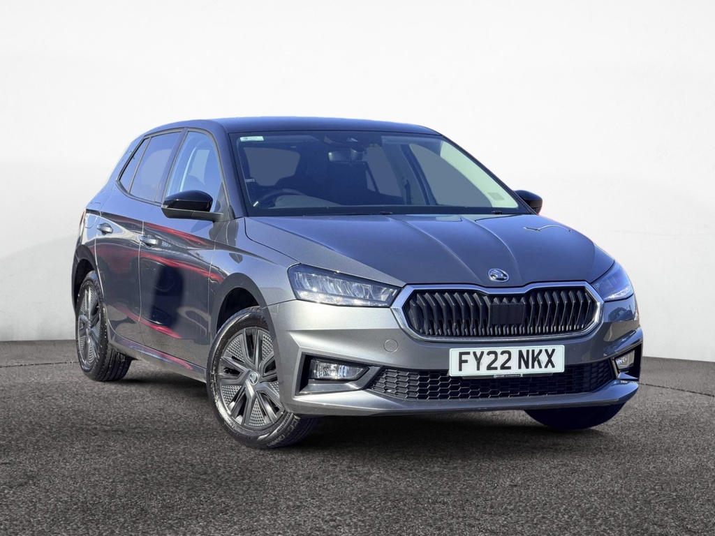 Skoda Fabia 1.0 Tsi 110 Colour Edition Grey
