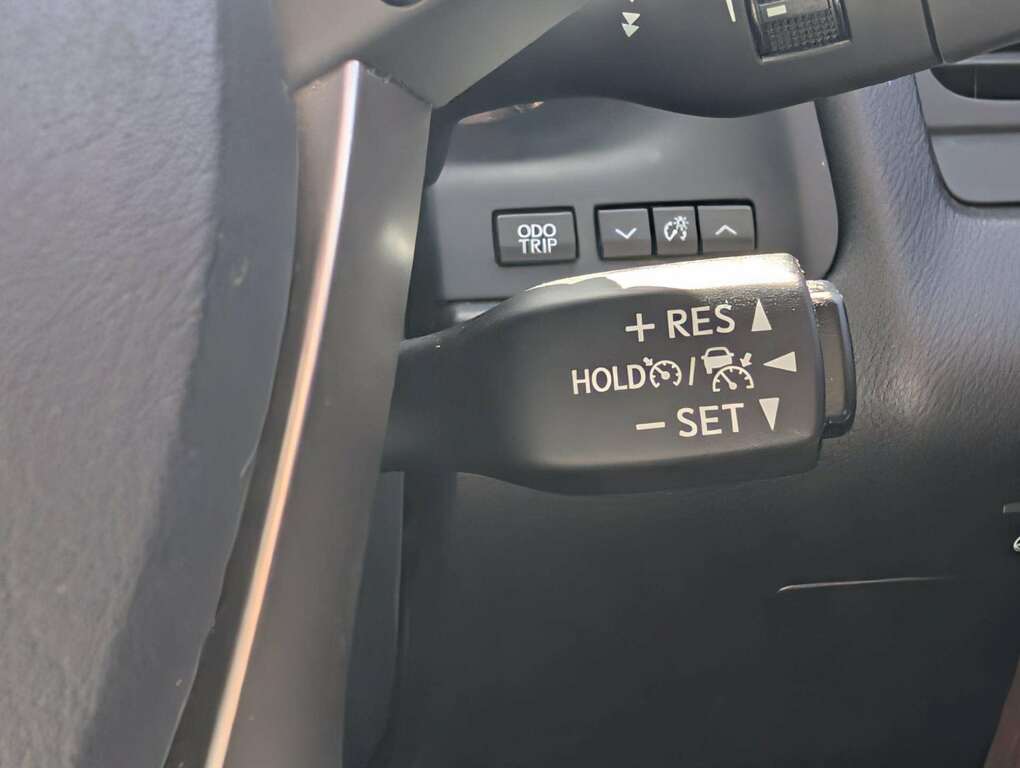 Lexus RX  White #32