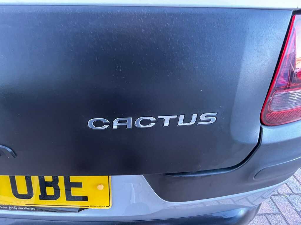 Citroen C4 Cactus Hatchback Purple #13