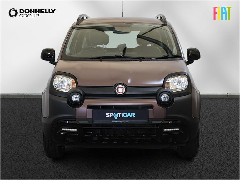 Fiat Panda 1.2 Easy Grey #12