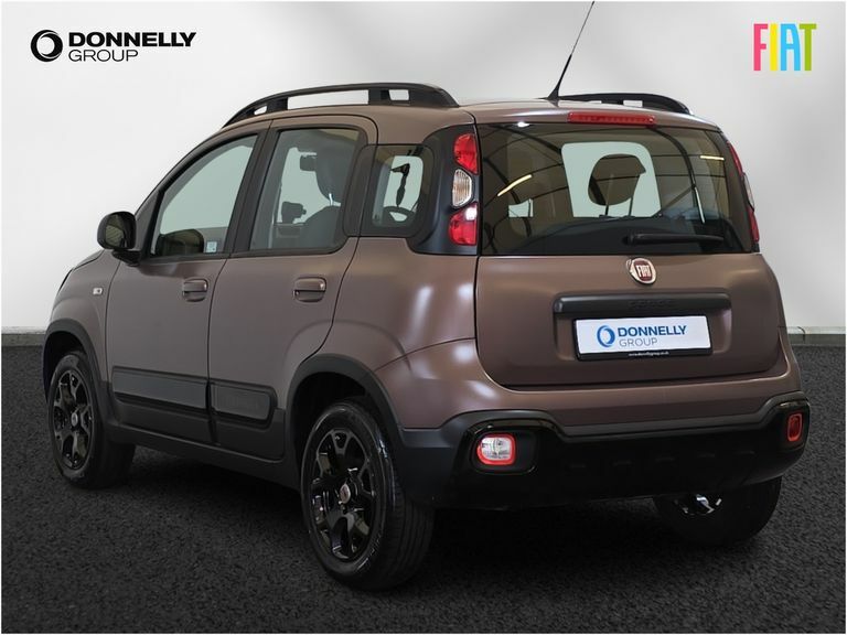 Fiat Panda 1.2 Easy Grey #2