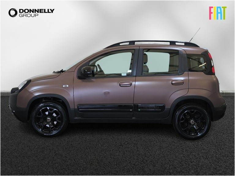 Fiat Panda 1.2 Easy Grey #14