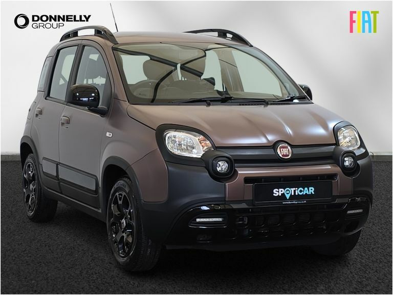 Fiat Panda 1.2 Easy Grey #1