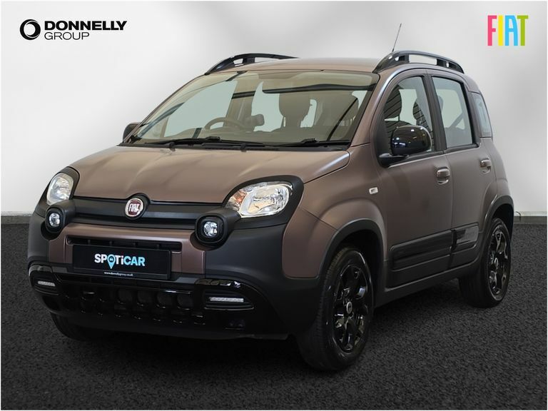 Fiat Panda 1.2 Easy Grey #15