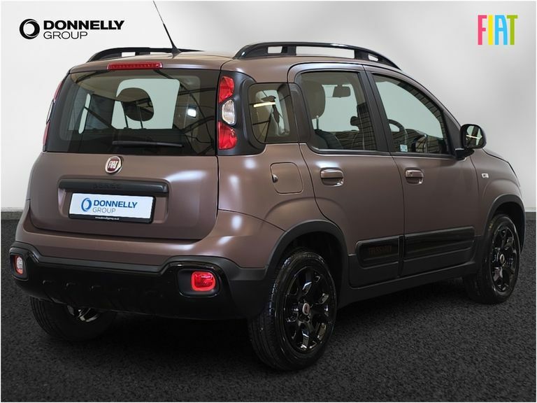 Fiat Panda 1.2 Easy Grey #16