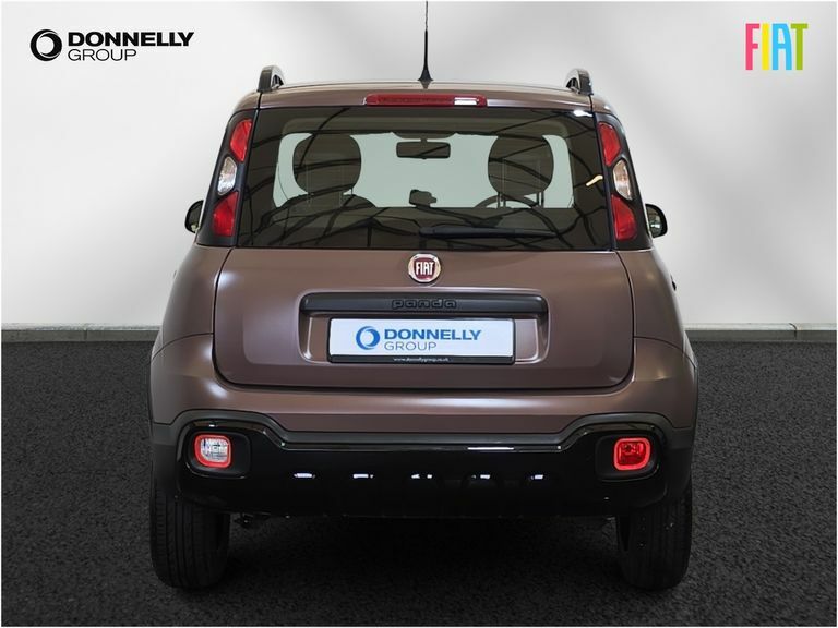 Fiat Panda 1.2 Easy Grey #13