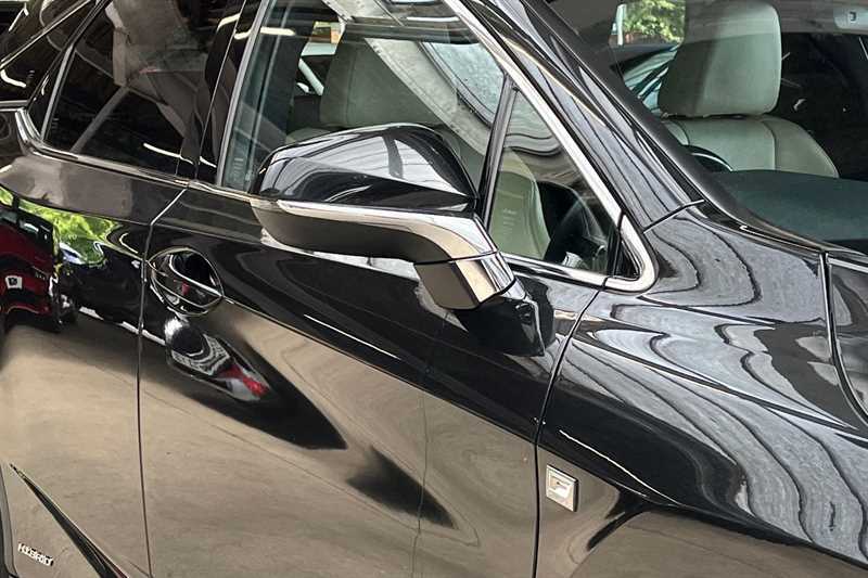 Lexus RX 450H 3.5 Luxury Cvt Blue #34