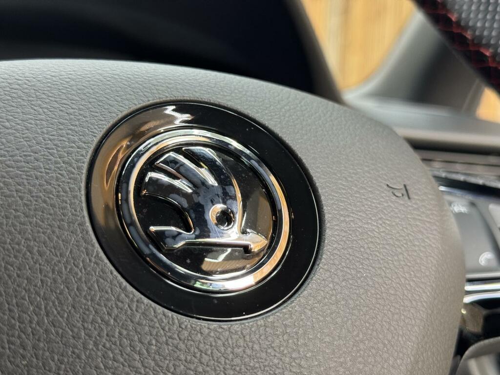 Skoda Octavia 2.0 Tsi 245 Vrs Red #36