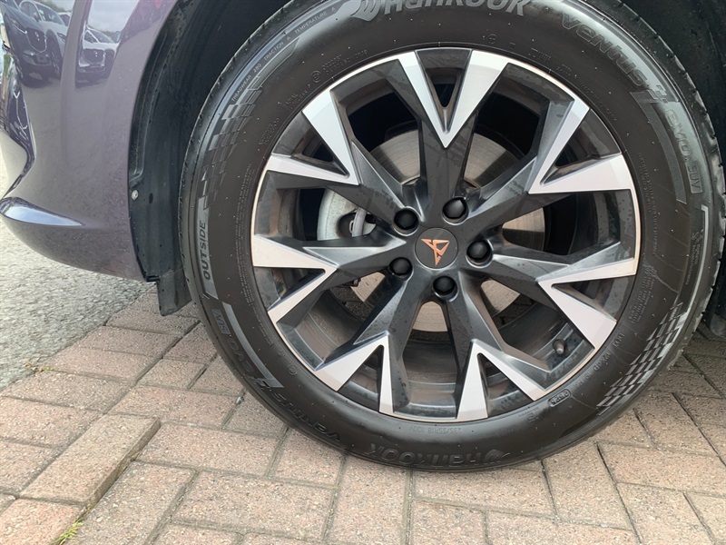 Cupra Terramar 1.5 Etsi V1 Suv Hybrid Dsg Euro 6 Ss Purple #6