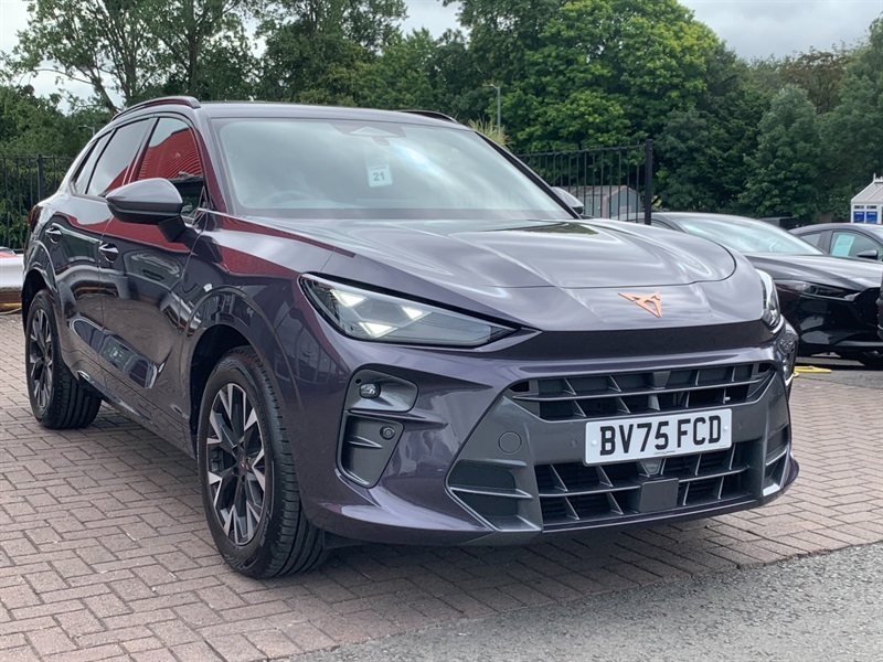 Cupra Terramar 1.5 Etsi V1 Suv Hybrid Dsg Euro 6 Ss Purple