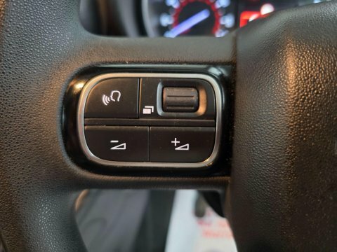 Citroen Berlingo Silver #31