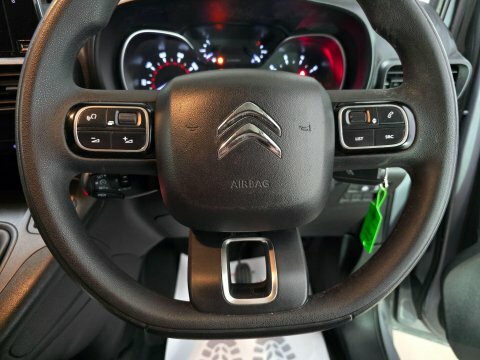 Citroen Berlingo Silver #30