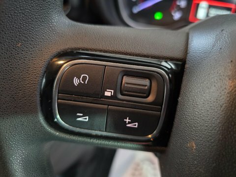Citroen Berlingo Grey #30