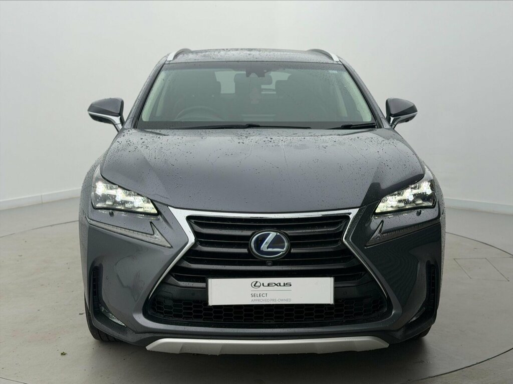 Lexus NX 2.5 300H Premier E-cvt 4Wd Euro 6 Ss Grey #5