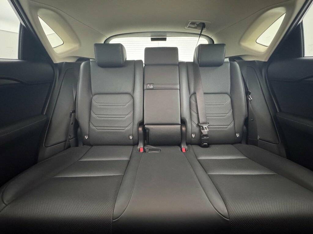 Lexus NX 300H Luxury Silver #11