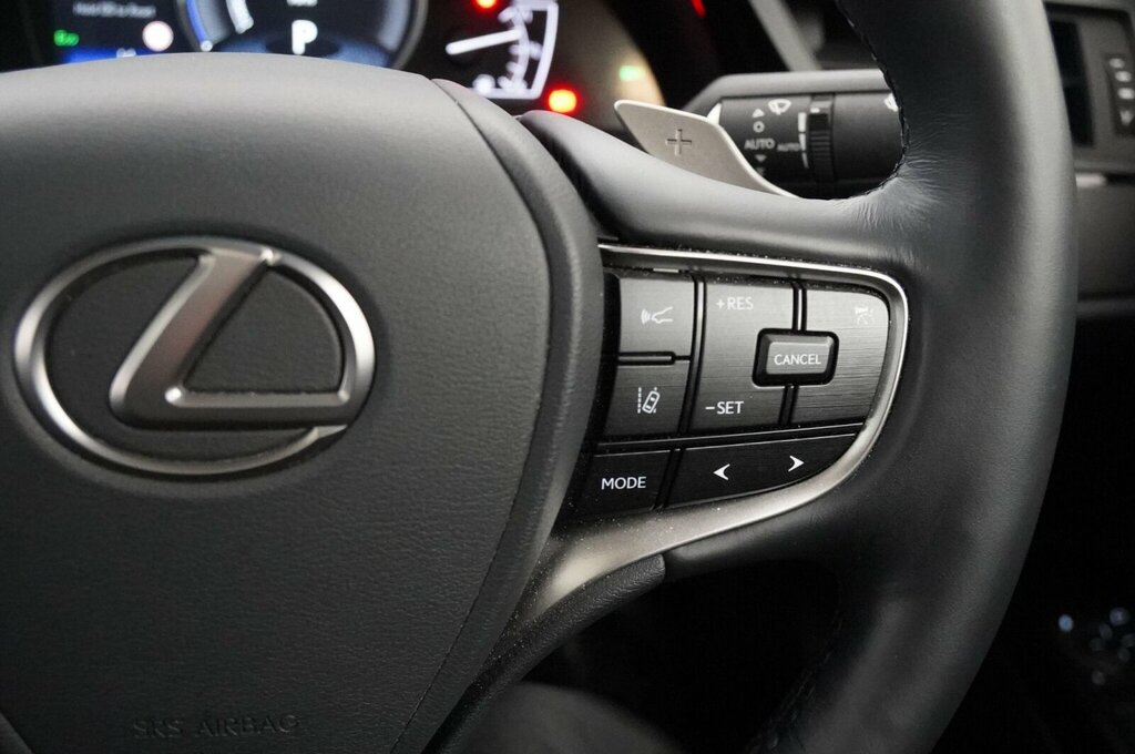 Lexus ES 300H Black #21