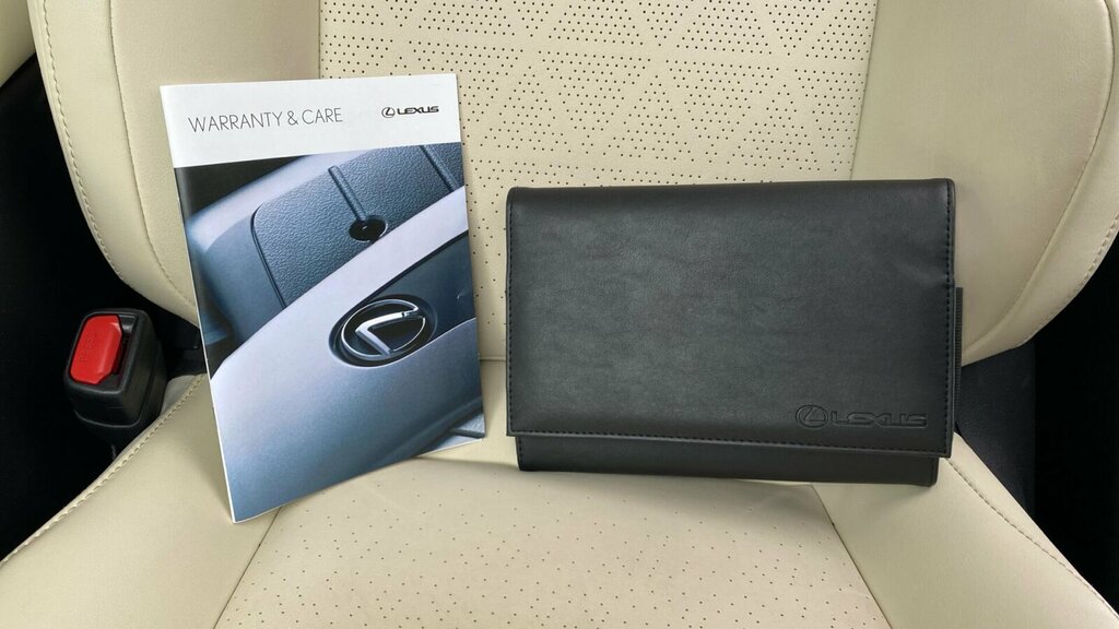 Lexus UX Premium Sport Edition Silver #27