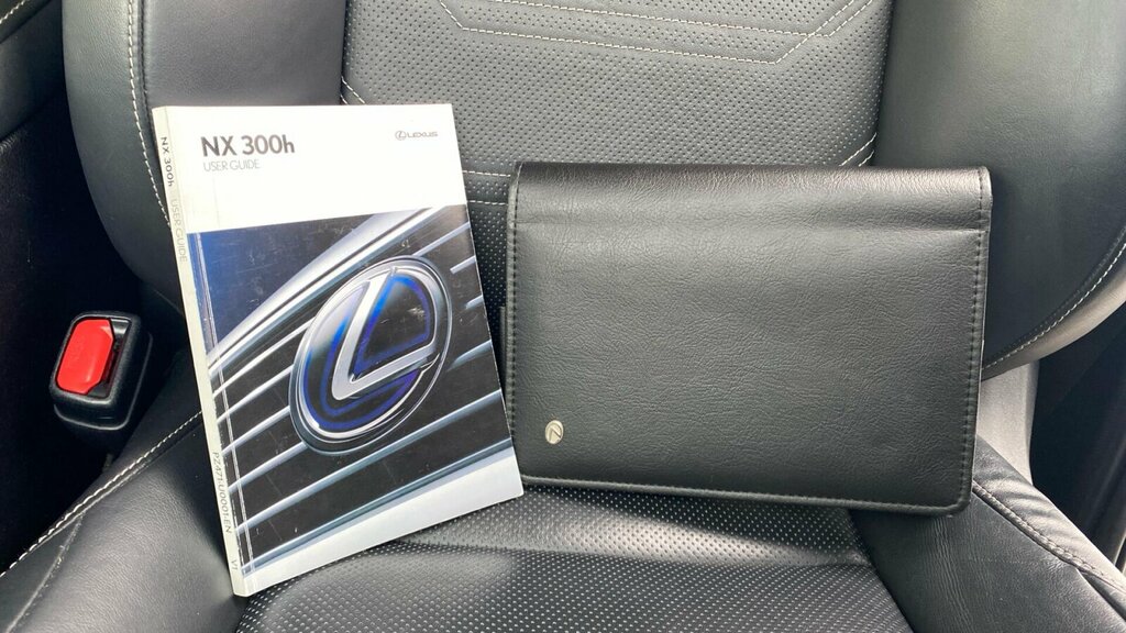 Lexus NX 300H F Sport Silver #27