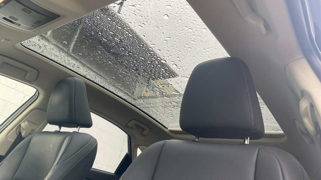 Lexus NX Premium Sport Edition Grey #20