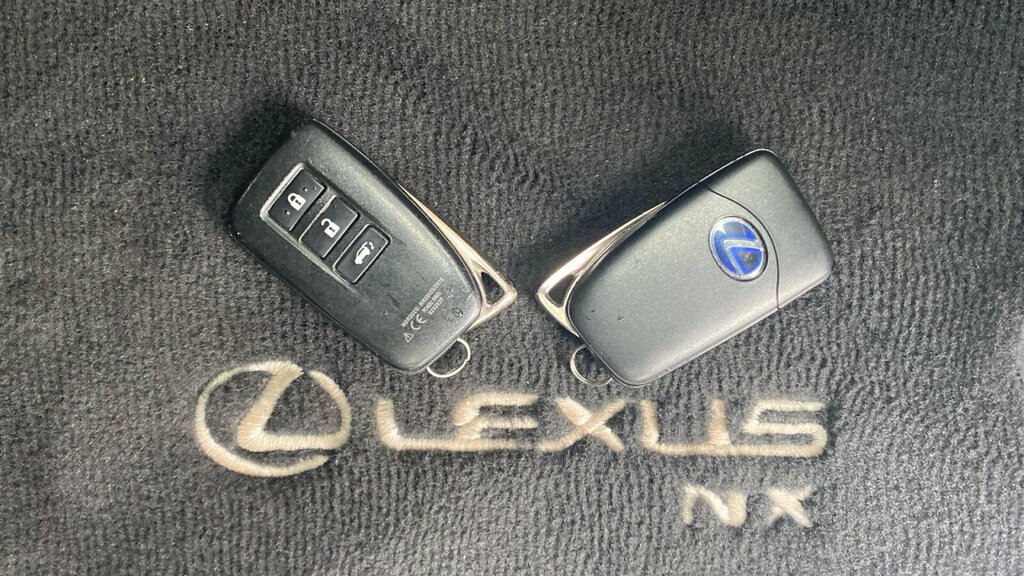 Lexus NX Premium Sport Edition Grey #28